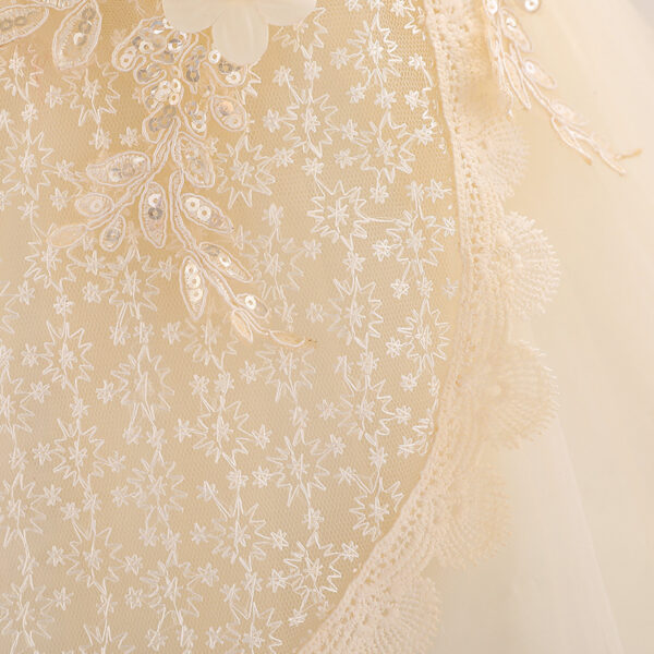 Baby Girl Christening Tutu Dress – Floral Embroidered Sequins Dress