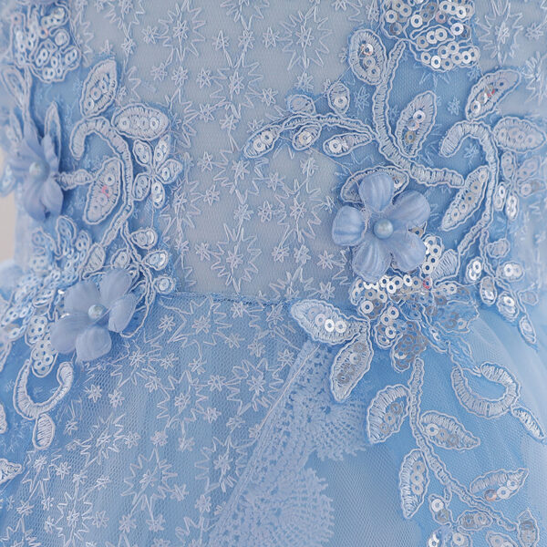 Baby Girl Christening Tutu Dress – Floral Embroidered Sequins Dress